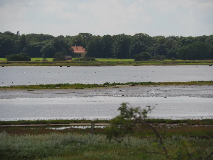 Halshuisene + Enebaerodde Beach (Denemarken)